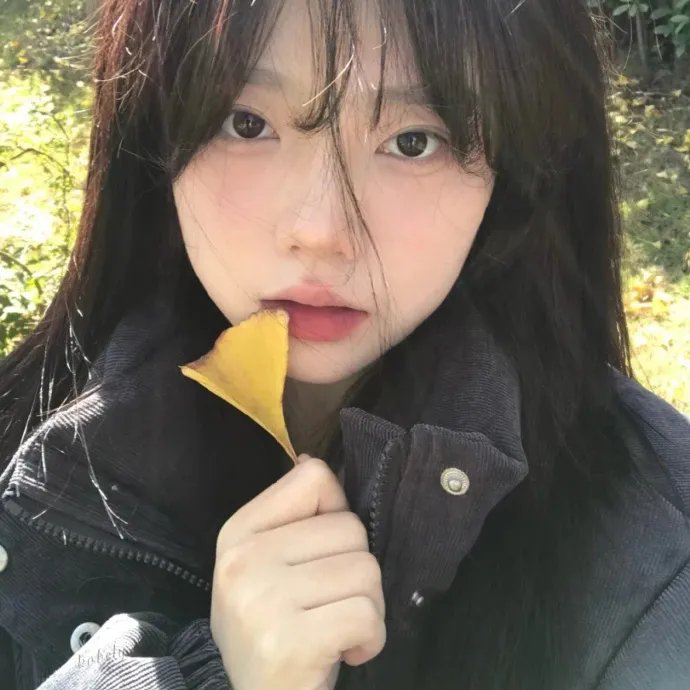 红颜无声闭口禅